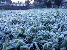 Segunda onda de frio vai provocar mais geadas no Sul do Brasil