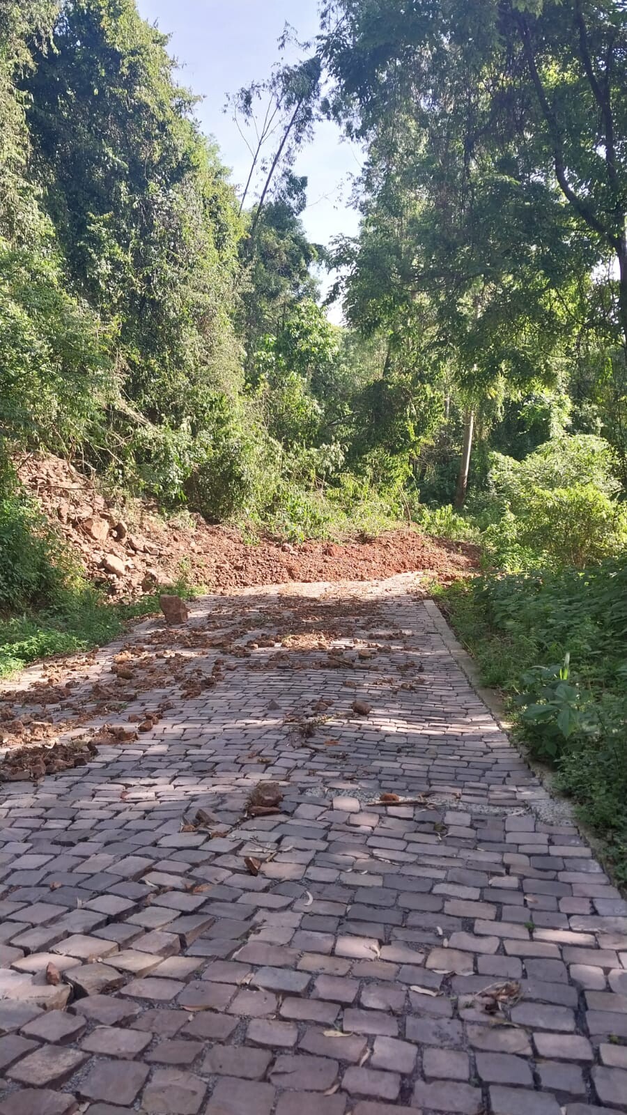 BOA VISTA DO SUL DECRETA SITUAÇÃO DE EMERGÊNCIA EM RAZÃO DAS CHUVAS INTENSAS!